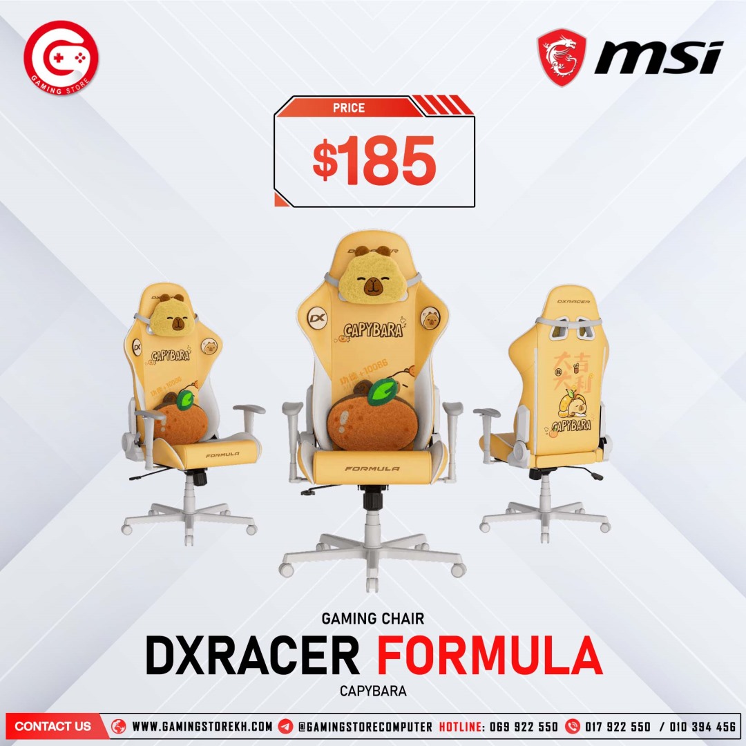 DXRacer Formula Series CAPYBARA