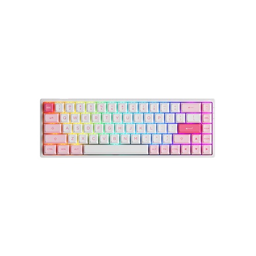 Akko Prunus Lannesiana 3068B Plus CS Jelly Pink Switches