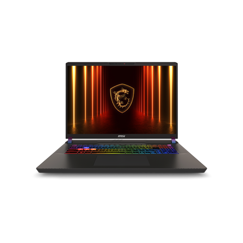 MSI Vector 17 HX AI A2XWJG-021KH-Cosmos Gray