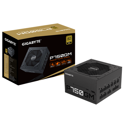 GIGABYTE P750GM