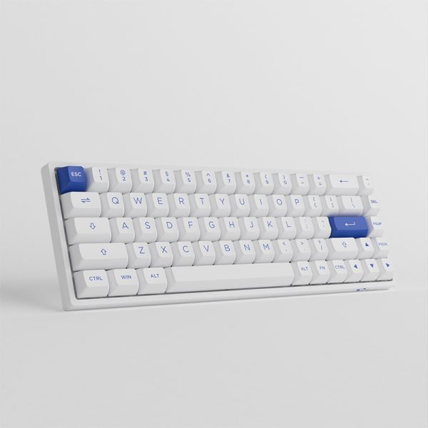 Akko Blue on White 3068B Plus CS Jelly Pink Switches