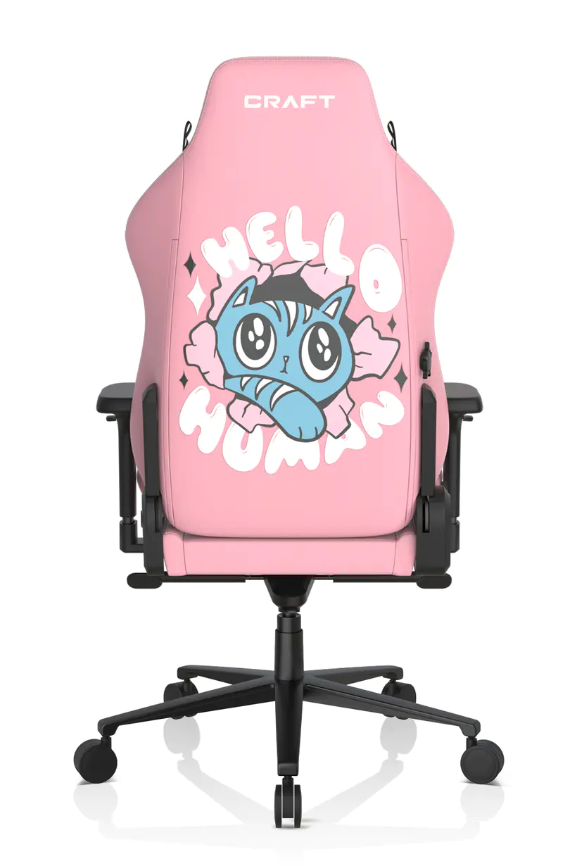 DXRacer CRAFT Hello Human Cat