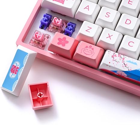 World Tour Tokyo R2 3068B Plus Multi-Mode Akko Jelly Pink