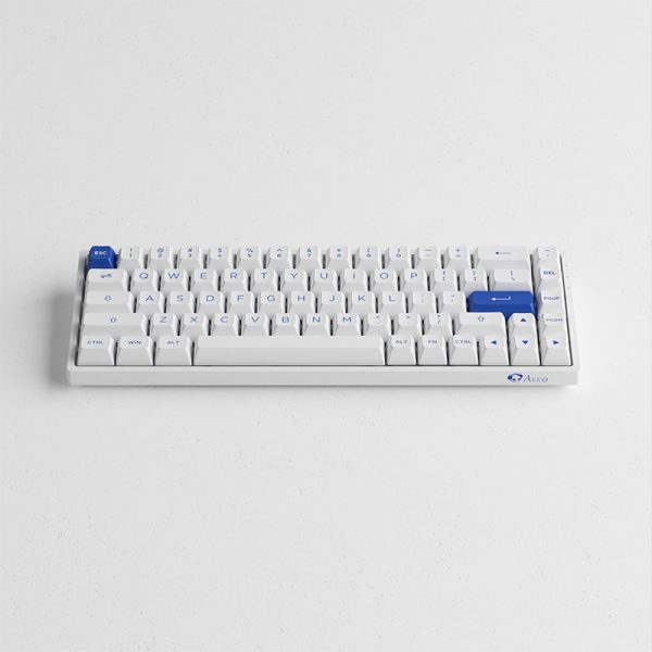 Akko Blue on White 3068B Plus CS Jelly Pink Switches