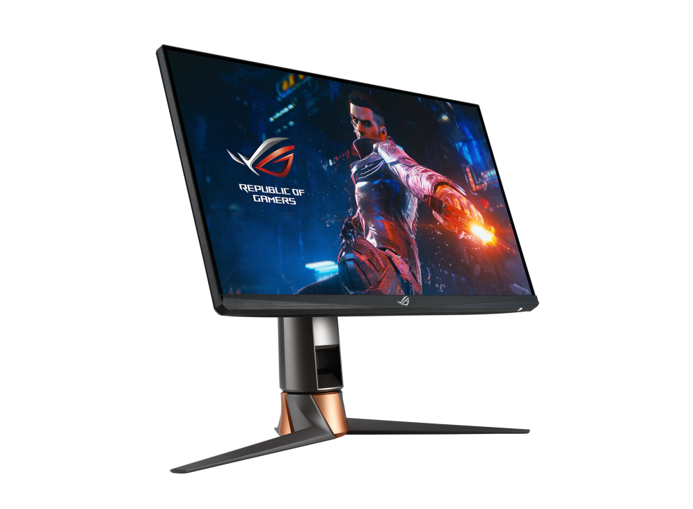 ASUS PG259QN ( ROG SWIFT HDR FHD 360 Hz IPS )