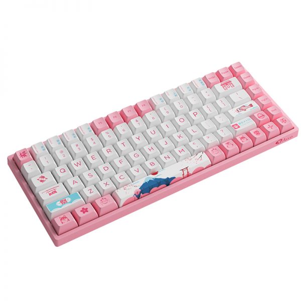 Akko World Tour Tokyo R2 3084B Plus CS Jelly Purple Switches