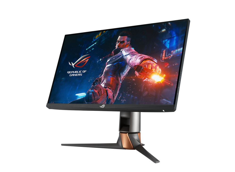 ASUS PG259QN ( ROG SWIFT HDR FHD 360 Hz IPS )