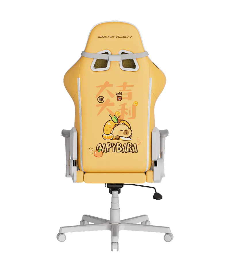 DXRacer Formular Series CAPYBARA Gaming Chair Size L 