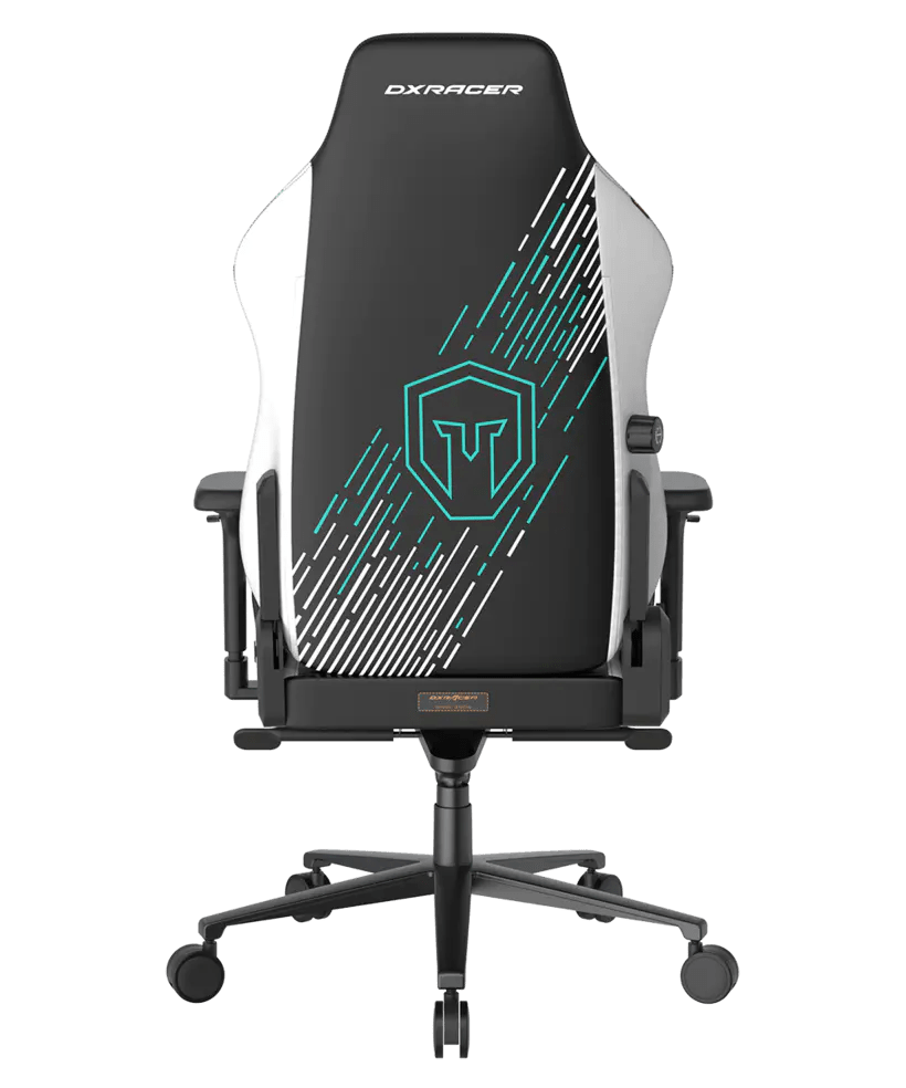 DXRacer Craft L Immortals Black White