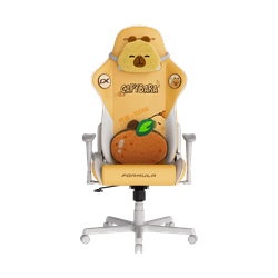 DXRacer Formular Series CAPYBARA Gaming Chair Size L 