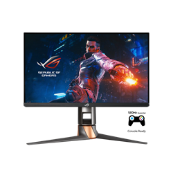 ASUS PG259QN ( ROG SWIFT HDR FHD 360 Hz IPS )